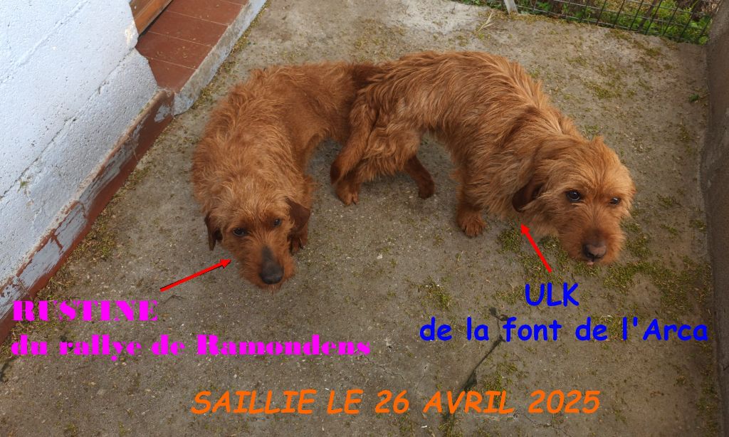 SAILLIE LE 26 AVRIL 2025